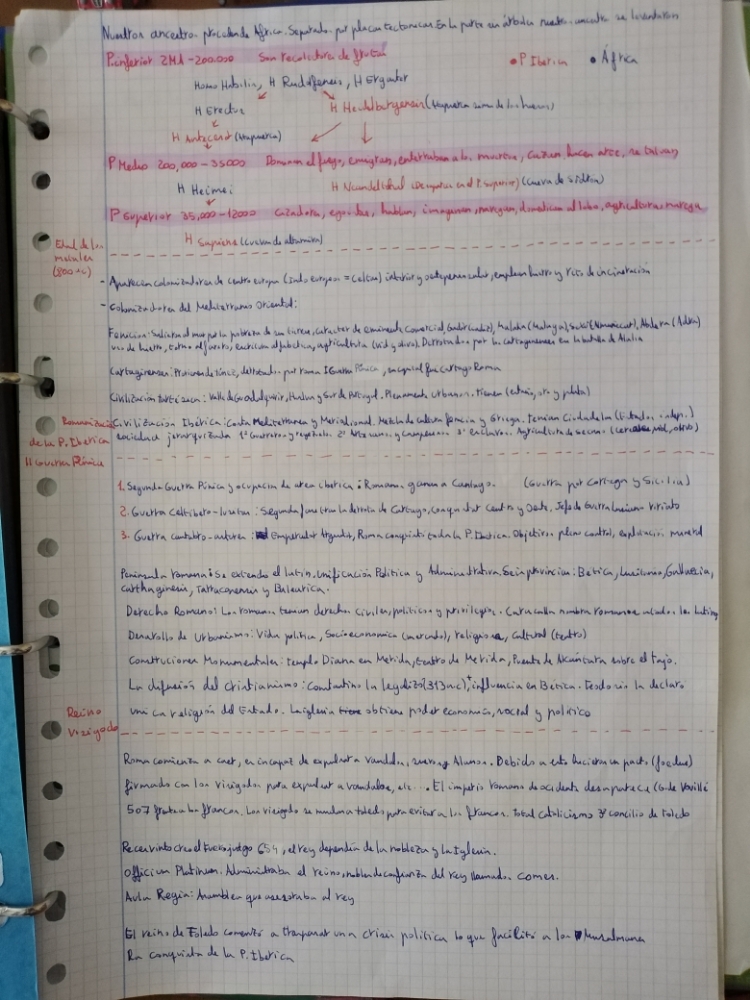 Tema uno historia.  Desde la edad de los metales hasta el reino visigodo. 